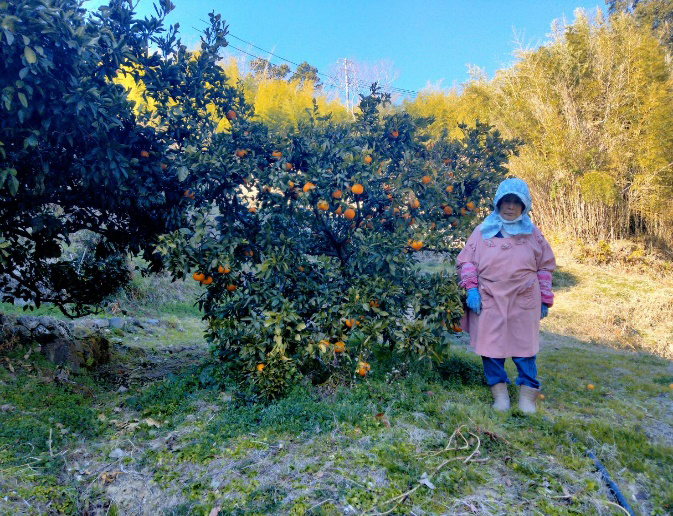 代表　　浜名 美乃恵（はまな みのえ）