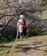 代表　　浜名 美乃恵（はまな みのえ）